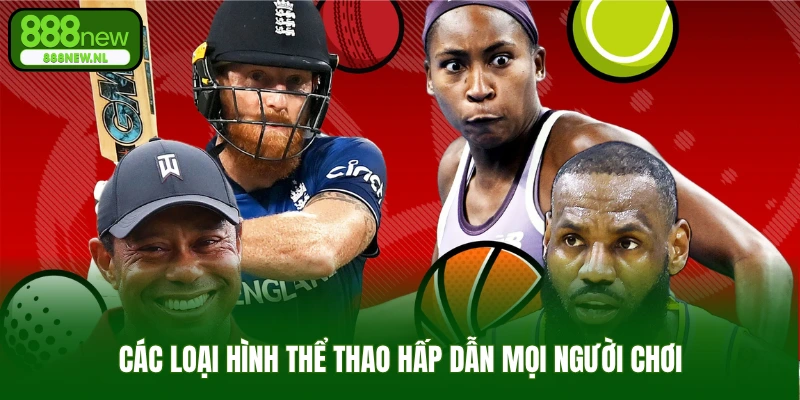 Các loại hình thể thao hấp dẫn mọi người chơi